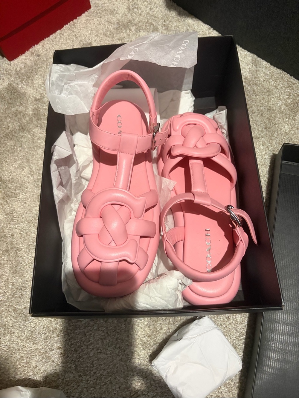 COACH Penney Platform Sandals
